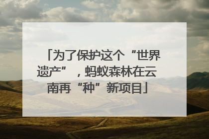 为了保护这个“世界遗产”，蚂蚁森林在云南再“种”新项目