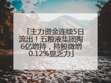 主力资金连续5日流出！五粮液集团掏6亿增持，持股微增0.12%显乏力