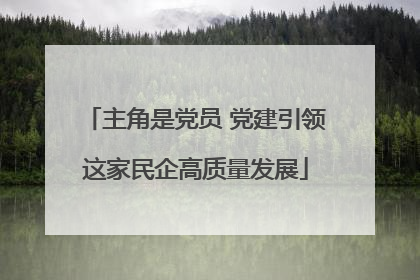 主角是党员 党建引领这家民企高质量发展