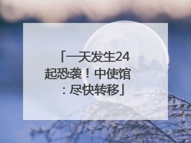 一天发生24起恐袭！中使馆：尽快转移