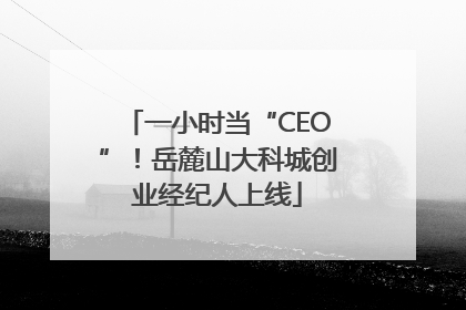 一小时当“CEO”！岳麓山大科城创业经纪人上线
