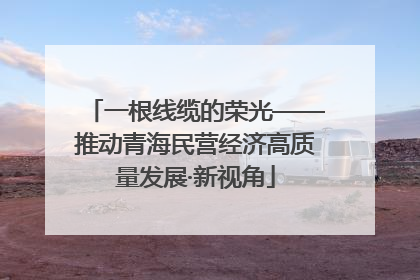 一根线缆的荣光——推动青海民营经济高质量发展·新视角