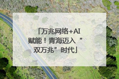万兆网络+AI赋能！青海迈入“双万兆”时代