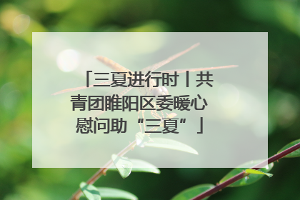 三夏进行时丨共青团睢阳区委暖心慰问助“三夏”