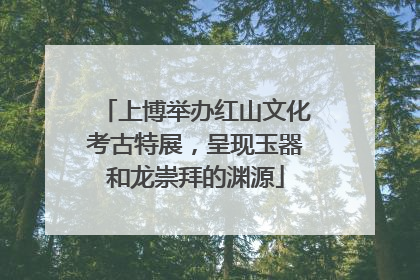 上博举办红山文化考古特展，呈现玉器和龙崇拜的渊源