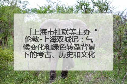 上海市社联等主办“伦敦-上海双城记：气候变化和绿色转型背景下的考古、历史和文化遗产”学术对话