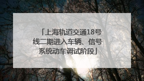 上海轨道交通18号线二期进入车辆、信号系统动车调试阶段