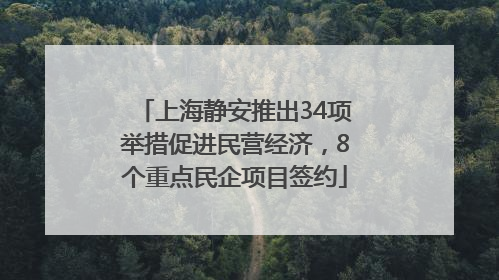 上海静安推出34项举措促进民营经济，8个重点民企项目签约