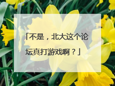 不是，北大这个论坛真打游戏啊？