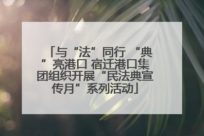 与“法”同行 “典”亮港口 宿迁港口集团组织开展“民法典宣传月”系列活动