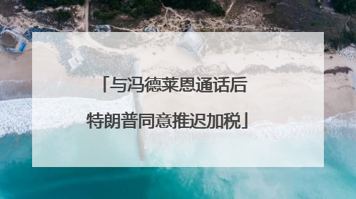 与冯德莱恩通话后 特朗普同意推迟加税