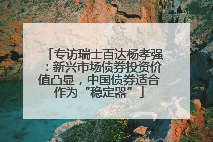 专访瑞士百达杨孝强：新兴市场债券投资价值凸显，中国债券适合作为“稳定器”