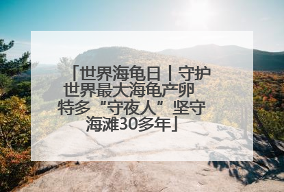 世界海龟日丨守护世界最大海龟产卵 特多“守夜人”坚守海滩30多年