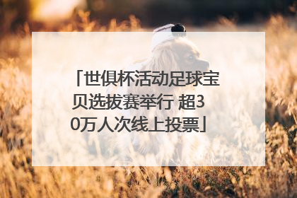 世俱杯活动足球宝贝选拔赛举行 超30万人次线上投票