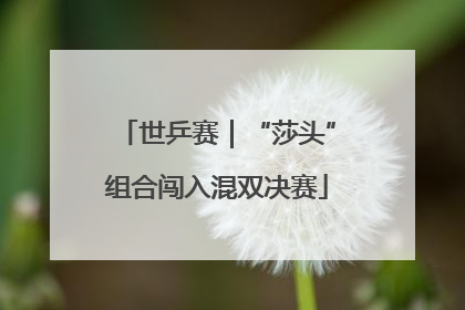 世乒赛｜“莎头”组合闯入混双决赛