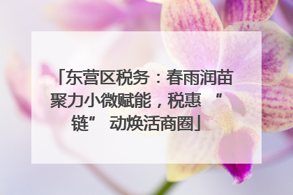 东营区税务：春雨润苗聚力小微赋能，税惠 “链” 动焕活商圈