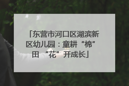 东营市河口区湖滨新区幼儿园：童耕“棉”田 “花”开成长