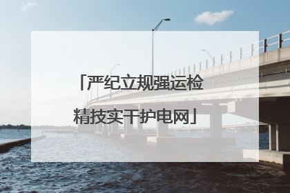严纪立规强运检 精技实干护电网