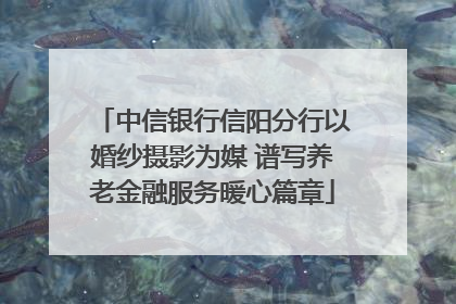 中信银行信阳分行以婚纱摄影为媒 谱写养老金融服务暖心篇章
