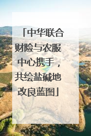 中华联合财险与农服中心携手，共绘盐碱地改良蓝图