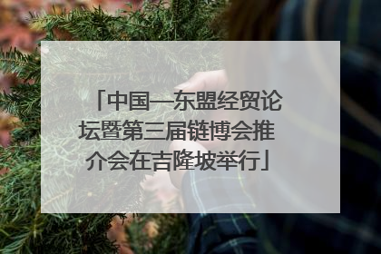 中国—东盟经贸论坛暨第三届链博会推介会在吉隆坡举行