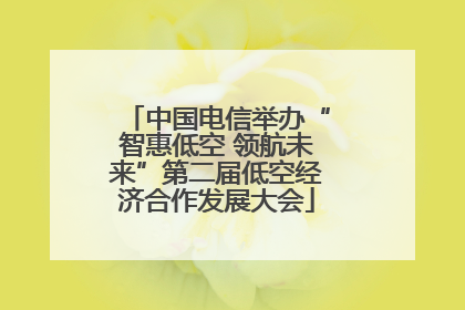 中国电信举办“智惠低空 领航未来”第二届低空经济合作发展大会