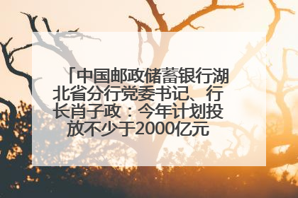 中国邮政储蓄银行湖北省分行党委书记、行长肖子政：今年计划投放不少于2000亿元支持支点建设