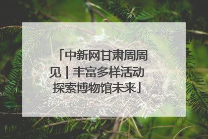 中新网甘肃周周见｜丰富多样活动探索博物馆未来