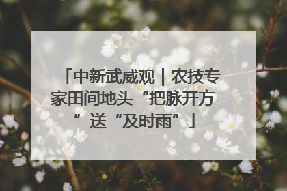 中新武威观｜农技专家田间地头“把脉开方”送“及时雨”