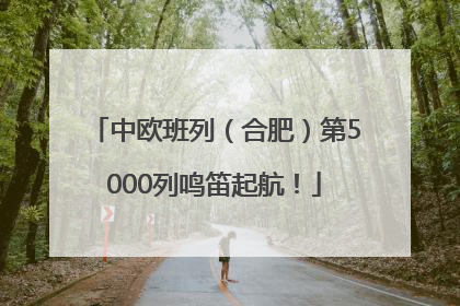 中欧班列（合肥）第5000列鸣笛起航！