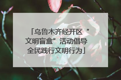 乌鲁木齐经开区“文明盲盒”活动倡导全民践行文明行为