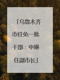 乌鲁木齐市任免一批干部：申琳任副市长