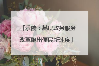 乐陵：基层政务服务改革跑出便民新速度