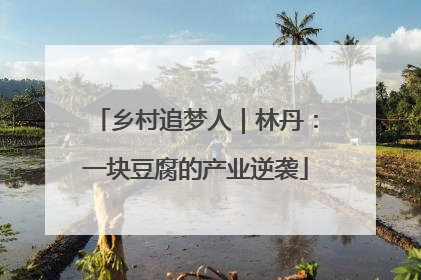 乡村追梦人｜林丹：一块豆腐的产业逆袭