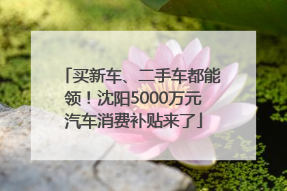 买新车、二手车都能领！沈阳5000万元汽车消费补贴来了