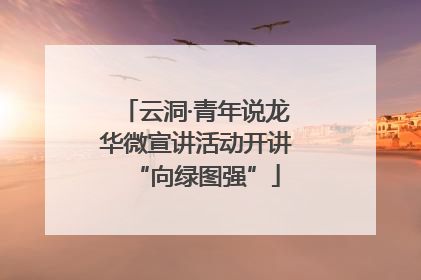 云洞·青年说龙华微宣讲活动开讲“向绿图强”