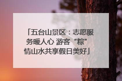 五台山景区：志愿服务暖人心 游客“粽”情山水共享假日美好