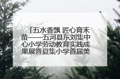 五水香飘 匠心育禾苗——五河县东刘集中心小学劳动教育实践成果展暨夏集小学首届美食节盛大举行