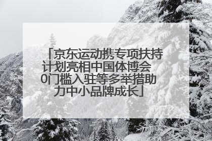 京东运动携专项扶持计划亮相中国体博会 0门槛入驻等多举措助力中小品牌成长
