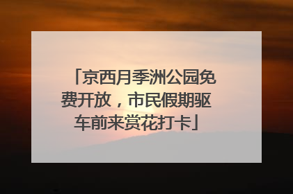 京西月季洲公园免费开放，市民假期驱车前来赏花打卡