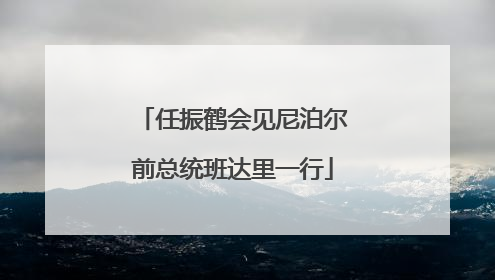 任振鹤会见尼泊尔前总统班达里一行