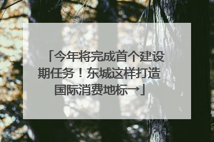 今年将完成首个建设期任务！东城这样打造国际消费地标→