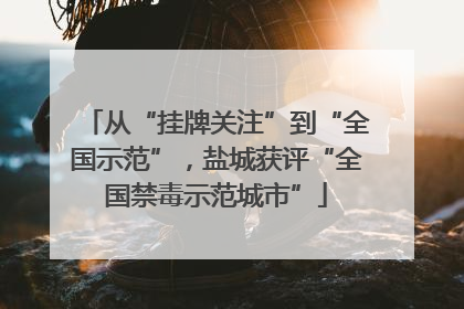 从“挂牌关注”到“全国示范”，盐城获评“全国禁毒示范城市”