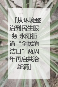 从环境整治到民生服务 永阳街道“全民清洁日”两周年再启共治新篇