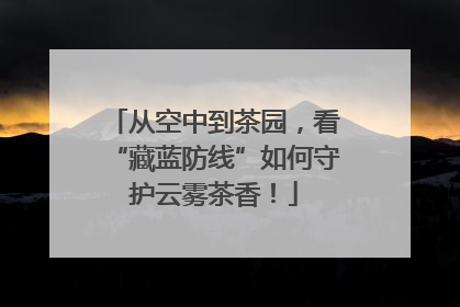 从空中到茶园，看“藏蓝防线”如何守护云雾茶香！