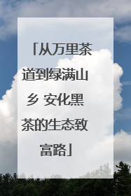 从万里茶道到绿满山乡 安化黑茶的生态致富路