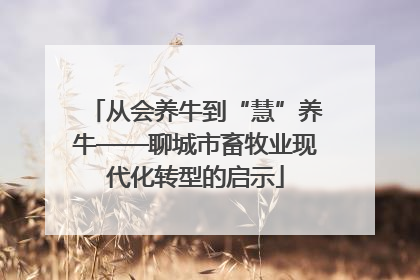 从会养牛到“慧”养牛——聊城市畜牧业现代化转型的启示