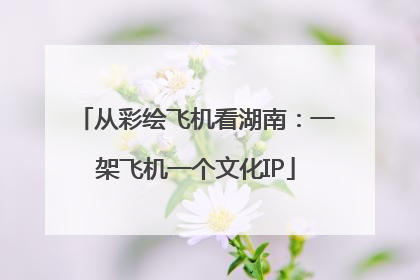从彩绘飞机看湖南：一架飞机一个文化IP