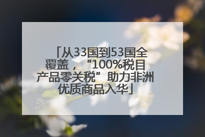 从33国到53国全覆盖，“100%税目产品零关税”助力非洲优质商品入华