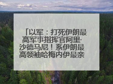 以军：打死伊朗最高军事指挥官阿里·沙德马尼！系伊朗最高领袖哈梅内伊最亲密的人之一